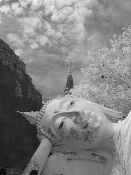 Thailand_OctNovDec_2010_Ayutthaya_Infrared_2652 - Copy.jpg